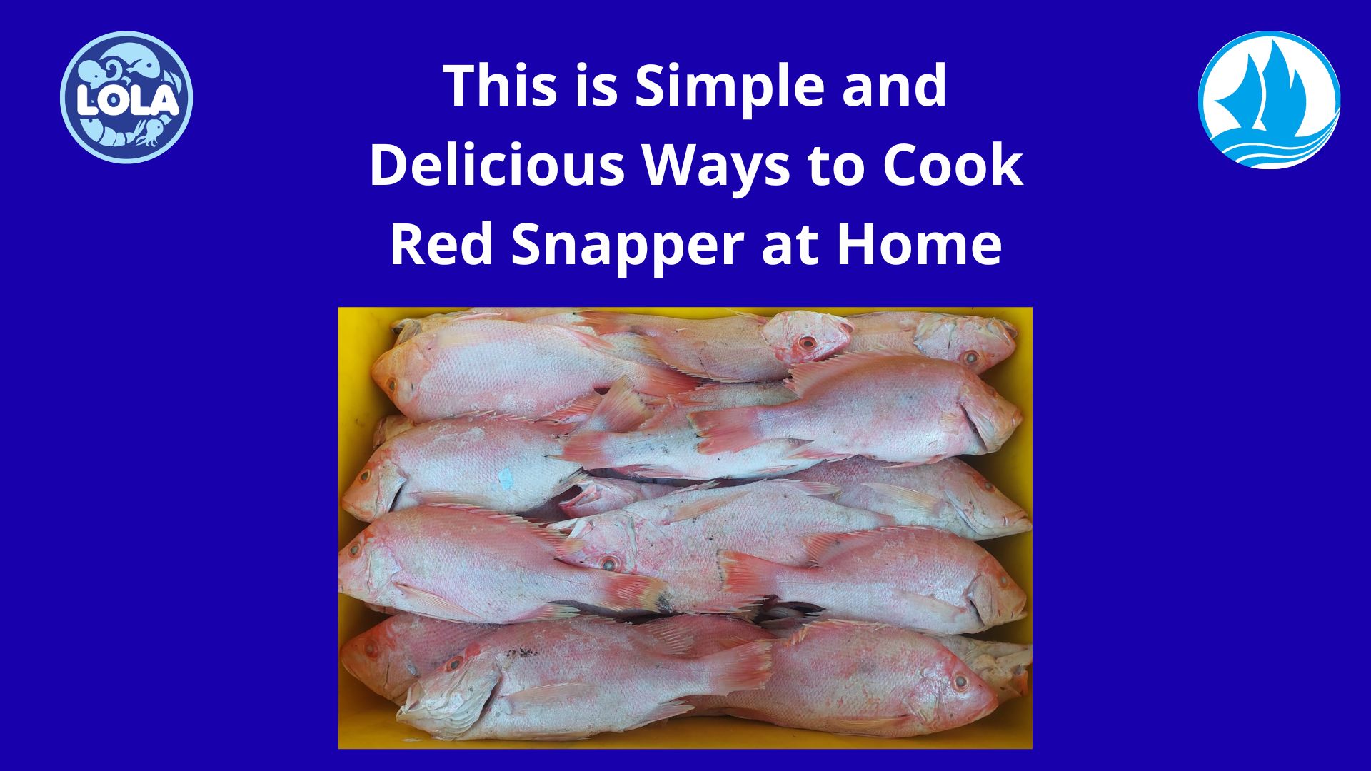  This is Simple and Delicious Ways to Cook Red Snapper at Home